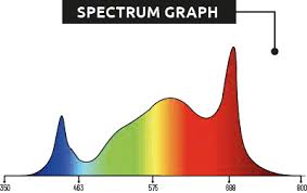 lumatek%20spectrum.jpg